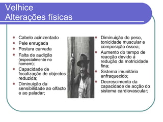 Velhice Alterações físicas Cabelo acinzentado Pele enrugada Postura curvada Falta de audição   (especialmente no homem); Capacidade de focalização de objectos reduzida; Diminuição da sensibilidade ao olfacto e ao paladar; Diminuição do peso, tonicidade muscular e composição óssea; Aumento do tempo de reacção devido á redução da motricidade fina; Sistema imunitário enfraquecido; Decrescimento da capacidade de acção do sistema cardiovascular; 
