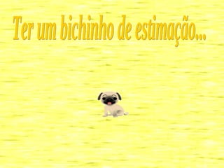 Ter um bichinho de estimação... 