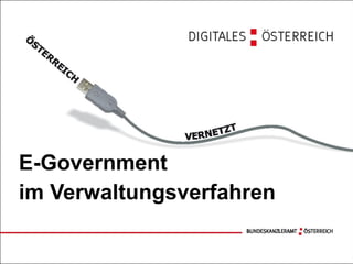 E-Government im Verwaltungsverfahren 