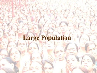 Large Population 