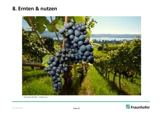 8. Ernten & nutzen




               © Andreas Mueller - Fotolia.com




© Fraunhofer                                     Folie 35
 