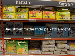 72
Jag stirrar fortfarande på kattsanden!
 