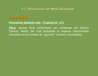 Zonas de Vida . Formación desierto sub - Tropical (d - sT). Flora :  escasa flora conformada por cactáceas del Género Cereus, dentro del cual sobresale la especie comúnmente conocida con el nombre de “gigantón” (Cereus macrostilsa). 5.2  Descripción del Medio Biológico 