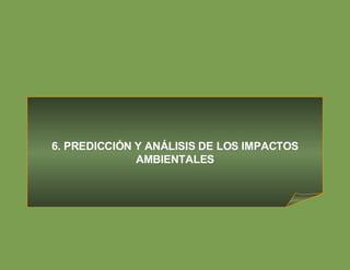 6. PREDICCIÓN Y ANÁLISIS DE LOS IMPACTOS AMBIENTALES 