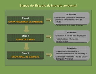 Etapas del Estudio de Impacto ambiental Etapa I ETAPA PRELIMINAR DE GABINETE Etapa II ETAPA DE CAMPO Etapa III ETAPA FINAL DE GABINETE Actividades Recopilación y análisis de información preliminar sobre el tema y área de estudio. Planeamiento de la etapa de campo Actividades Evaluación in-situ del área del proyecto Recopilación de información complementaria Actividades Procesamiento y análisis de la información obtenida en las etapas I y II. Elaboración del Informe Final del Estudio de Impacto Ambiental. 