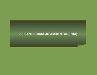 7. PLAN DE MANEJO AMBIENTAL (PMA) 