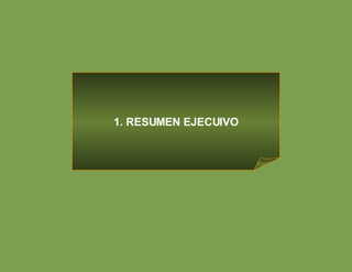 1. RESUMEN EJECUIVO 
