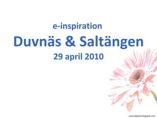 e-inspiration  Duvnäs & Saltängen 29 april 2010 piranahplant.blogspot.com 
