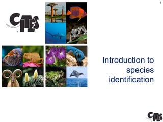 11
Convention on International Trade in Endangered
Species of Wild Fauna and Flora
Introduction to
species
identification
 