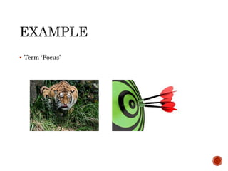  Term ‘Focus’ 
 