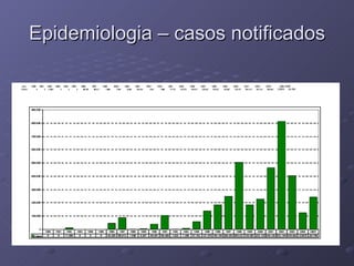 Epidemiologia – casos notificados 