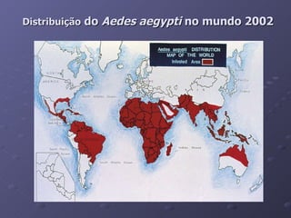 Distribuição  do  Aedes aegypti  no mundo 2002 