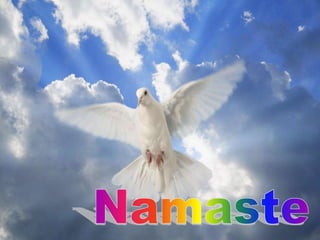 Namaste 