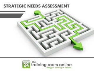 STRATEGIC NEEDS ASSESSMENT

 