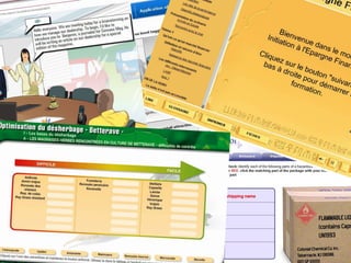 Exemples




JF. Le Cloarec
Skolanet e-learning
 