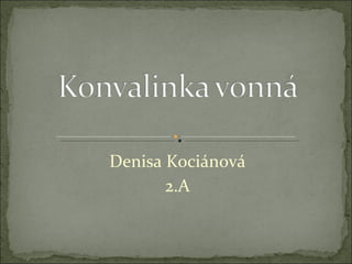 Denisa Kociánová 2.A 