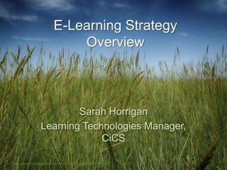 E-Learning Strategy
                                Overview



                           Sarah Horrigan
                   Learning Technologies Manager,
                                CiCS

Image source:http://www.flickr.com/photos/80901381@N04/7787881458/
 