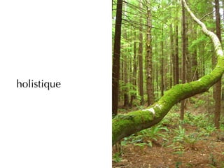 holistique
 