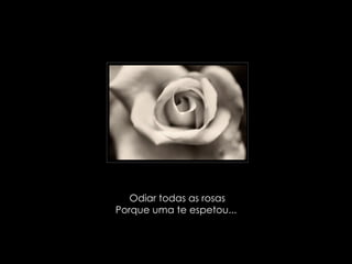Odiar todas as rosas Porque uma te espetou...  