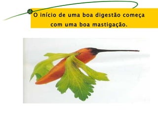 O início de uma boa digestão começa
     com uma boa mastigação.
 