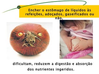 Encher o estômago de líquidos às
      refeições, adoçados, gaseificados ou
                      não,




dificultam, reduzem a digestão e absorção
       dos nutrientes ingeridos.
 