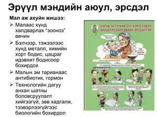 Эрүүл мэндийн аюул, эрсдэл
Мал аж ахуйн жишээ:
 Малаас хүнд
  халдварлах “зооноз”
  өвчин
 Бэлчээр, тэжээлээс
  хүнд металл, химийн
  хорт бодис, цацраг
  идэвхит бодисоор
  бохирдох
 Малын эм тарианаас
  антибиотик, гормон
 Технологийн дагуу
  анхан шатны
  боловсруулалт
  хийгээгүй, зөв хадгалж,
  тээвэрлээгүйгээс
  биологийн бохирдол
 