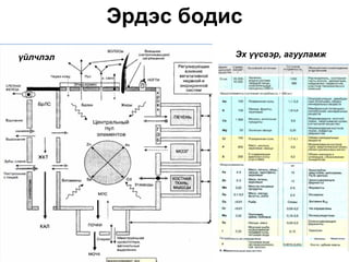 Эрдэс бодис
үйлчлэл             Эх үүсвэр, агууламж
 