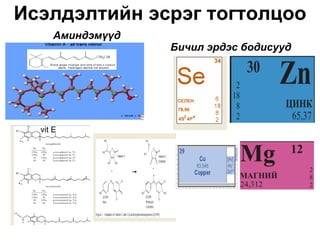 Исэлдэлтийн эсрэг тогтолцоо
      Аминдэмүүд
                   Бичил эрдэс бодисууд




  vit E
 