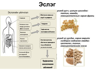 Эслэг
                           усанд уусч, цэлцэн үүсгэдэг:
Эслэгийн үйлчлэл              пектин, камеди,
                              гемицеллюлозын зарим фракц




                           усанд үл уусдаг, харин өөрийн
                              хэлбэрээ хадгалан хөөдөг:
                              целлюлез, лигнин,
                              гемицеллюлезийн хэсэг
 