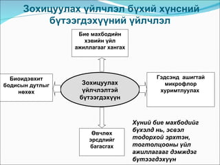 Зохицуулах үйлчлэл бүхий хүнсний
          бүтээгдэхүүний үйлчлэл
                  Бие махбодийн
                    хэвийн үйл
                 ажиллагааг хангах




  Биоидэвхит                               Гэдсэнд ашигтай
бодисын дутлыг     Зохицуулах                 микрофлор
    нөхөх          үйлчлэлтэй               хуримтлуулах
                  бүтээгдэхүүн



                                     Хүний бие махбодийг
                                     бүхэлд нь, эсвэл
                      Өвчлөх
                     эрсдлийг        тодорхой эрхтэн,
                     багасгах        тогтолцооны үйл
                                     ажиллагааг дэмждэг
                                     бүтээгдэхүүн
 