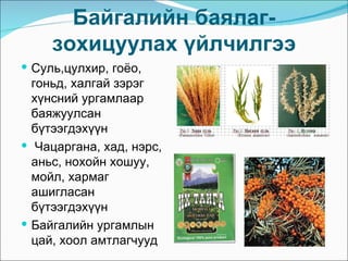 Байгалийн баялаг-
     зохицуулах үйлчилгээ
 Суль,цулхир, гоёо,
  гоньд, халгай зэрэг
  хүнсний ургамлаар
  баяжуулсан
  бүтээгдэхүүн
 Чацаргана, хад, нэрс,
  аньс, нохойн хошуу,
  мойл, хармаг
  ашигласан
  бүтээгдэхүүн
 Байгалийн ургамлын
  цай, хоол амтлагчууд
 