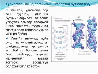 Хувиргасан амьд организмын гаралтай бүтээгдэхүүн
 Амьтан, ургамалд өөр
ген    суулгах,   ДНК-ийн
бүтцийг өөрчлөх, эд эсийг
ургуулах замаар тодорхой
шинж чанартай түүхий эд
гаргаж авах талаар амжилт
их гарч байна
 Генийн инженер зүйн
ололт нь хүнсний асуудлыг
шийдвэрлэхэд үр дүнгээ
өгч байгаа боловч хүний
бие    махбодид    үзүүлэх
нөлөөллийг          заавал
тогтоож,        эрсдэлгүй
болохыг батлах ёстой
 