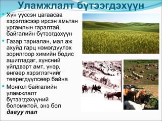 Уламжлалт бүтээгдэхүүн
 Хүн үүссэн цагаасаа
  хэрэглэсээр ирсэн амьтан
  ургамлын гаралтай,
  байгалийн бүтээгдэхүүн
 Газар тариалан, мал аж
  ахуйд гарц нэмэгдүүлэх
  зорилгоор химийн бодис
  ашигладаг, хүнсний
  үйлдвэрт амт, үнэр,
  өнгөөр хэрэглэгчийг
  төөрөгдүүлсөөр байна
 Монгол байгалийн
  уламжлалт
  бүтээгдэхүүний
  боломжтой, энэ бол
  давуу тал
 