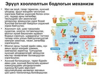 Эрүүл хооллолтын бодлогын механизм
•   Мал аж ахуй, газар тариалан, хүнсний
    үйлдвэр, эрүүл мэндийн чиглэлээх
    хэрэгжиж байгаа үндэсний болон олон
    улс, гадаад орны хөтөлбөр,
    төслүүдийн үйл ажиллагааг
    уялдуулан зрхицуулах үүрэг бүхий
    Хүнсний баталгаат байдлын үндэсний
    хороо байгуулах;
•   Хооллолт зүй, шим тэжээлийн
    судалгаа, үнэлгээ тогтмолжуулах,
    монгол хүний биологийн идэвхит
    бодиын хэрэгцээ, шаардлагыг тогтоох
    талаар олон улсын байгууллагуудтай
    хамтран ажиллах, төсөл, хөтөлбөр
    хэрэгжүүлэх;
•   Монгол орны түүхий эдийн нөөц, хүн
    амын эрүүл мэндийг дэмжих,
    хамгаалах зорилгод тулгуурлан
    хүнсний үйлдвэрлэлийг хөгжүүлэх
    мастер төлөвлөгөөг боловсруулан
    хэрэгжүүлэх;
•   Хүнсний бүтээгдэхүүн, төрөл бүрийн
    амин дэм, хүнсний биологийн идэвхит
    нэмэгдлүүдийн үйлдвэрлэлийн
    хүрээнд бүтцийн өөрчлөлт
    оруулахуйцаар нөлөөлөх зарчмын
    цоо шинэ технологиуд боловсруулах
 