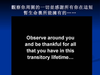 觀 察你周 圍 的一切 並 感 謝 所有你在 這 短 暫 生命 裏 所能 擁 有的…… 
