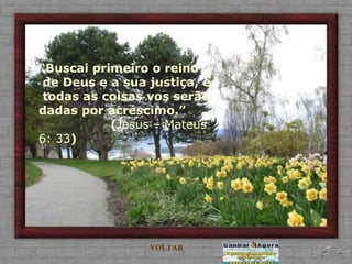 “ Buscai primeiro o reino  de Deus e a sua justiça, e  todas as coisas vos serão dadas por acréscimo.”  ( Jesus – Mateus 6: 33 ) VOLTAR 