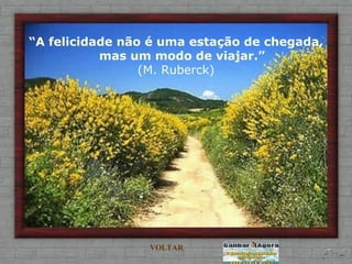 “ A felicidade não é uma estação de chegada,  mas um modo de viajar.” (M. Ruberck) VOLTAR 