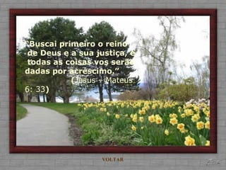 “Buscai primeiro o reino
de Deus e a sua justiça, e
todas as coisas vos serão
dadas por acréscimo.”
(Jesus – Mateus
6: 33)
VOLTAR
 