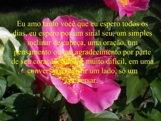 Eu amo tanto você que eu espero todos os
dias, eu espero por um sinal seu, um simples
inclinar de cabeça, uma oração, um
pensamento ou um agradecimento por parte
de seu coração. Sabe, é muito difícil, em uma
conversa, só existir um lado, só um
conversar.
 