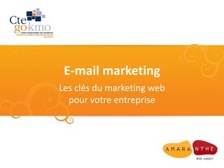E-mail marketing Les clés du marketing web pour votre entreprise 