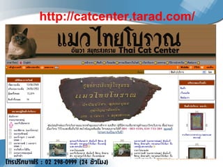http://catcenter.tarad.com/ 