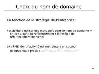 Choix du nom de domaine  En fonction de la stratégie de l’entreprise: Possibilité d’utiliser des mots clefs dans le nom de domaine = critère aidant au référencement ! (stratégie de référencement de niche) ex : PME  dont l’activité est restreinte à un secteur géographique précis :  www.paysagiste-bretagne.fr   