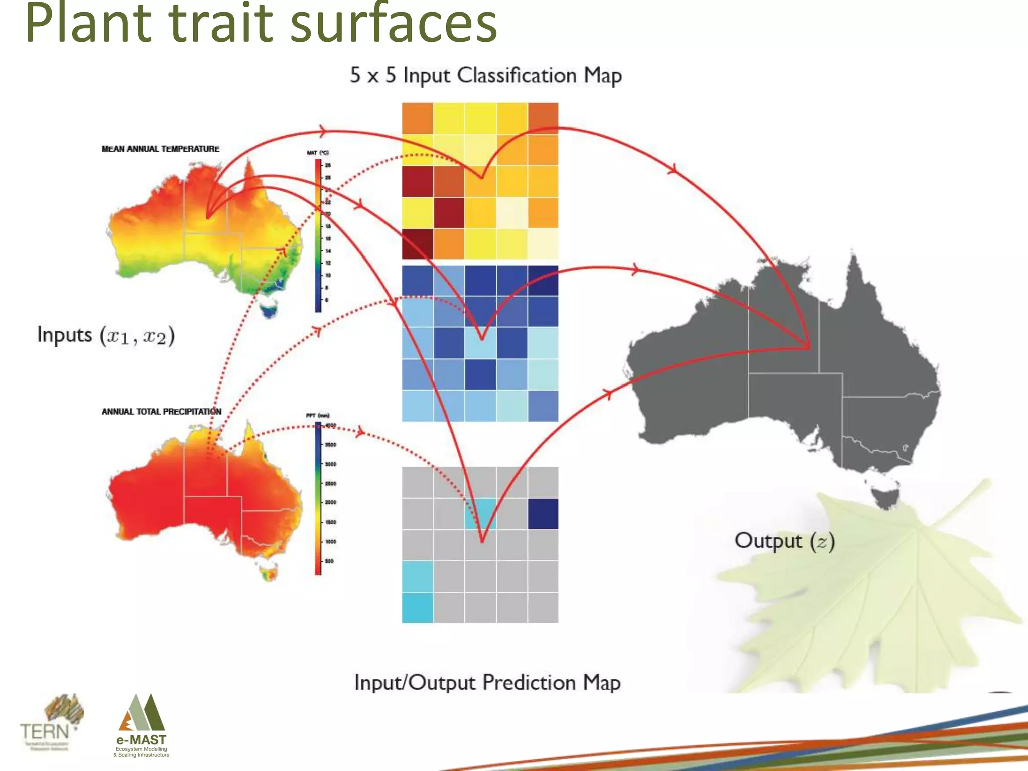 Plant trait surfaces

 