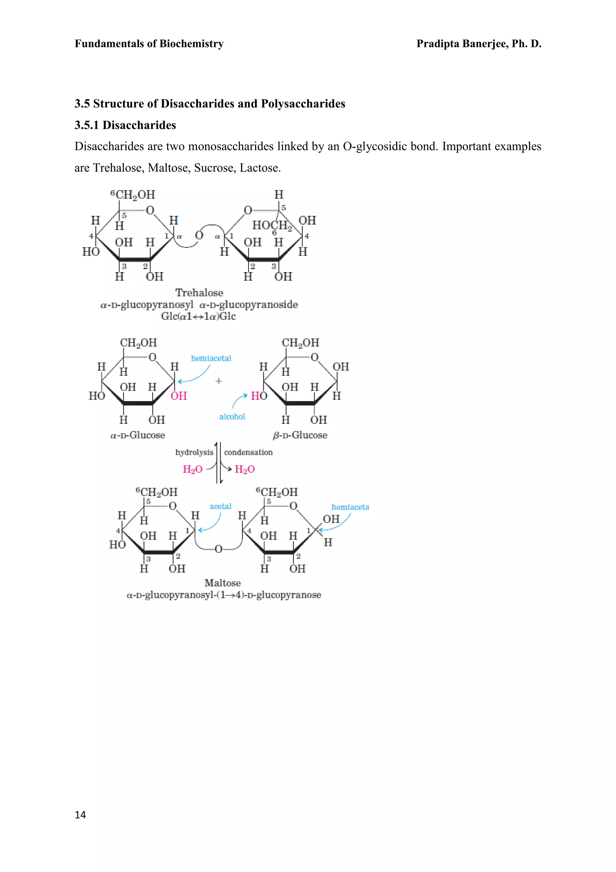 Fundamentals of Biochemistry Pradipta Banerjee, Ph. D.
14
3.5 Structure of Disaccharides and Polysaccharides
3.5.1 Disaccharides
Disaccharides are two monosaccharides linked by an O-glycosidic bond. Important examples
are Trehalose, Maltose, Sucrose, Lactose.
 