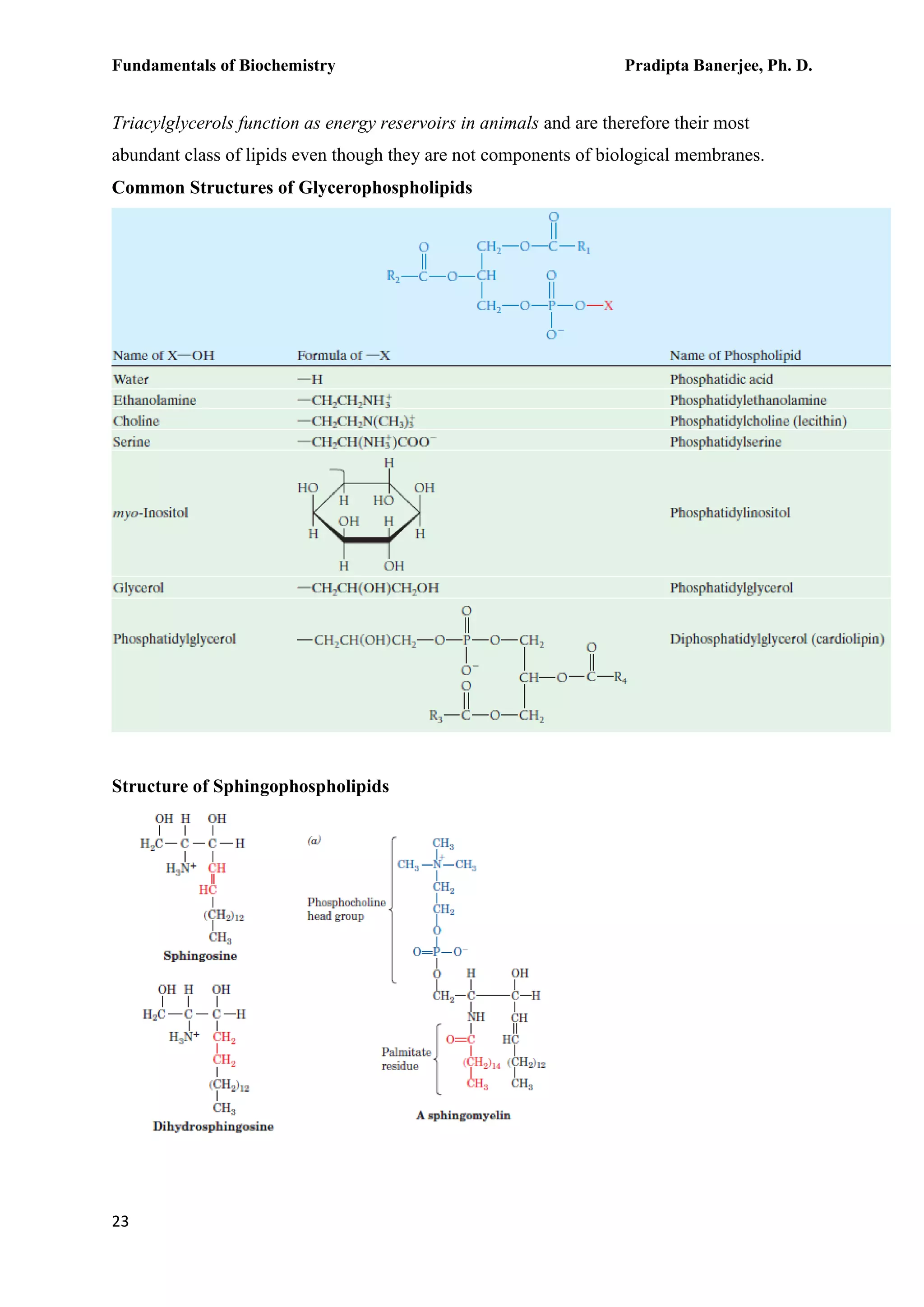 Fundamentals of Biochemistry Pradipta Banerjee, Ph. D.
23
Triacylglycerols function as energy reservoirs in animals and are therefore their most
abundant class of lipids even though they are not components of biological membranes.
Common Structures of Glycerophospholipids
Structure of Sphingophospholipids
 