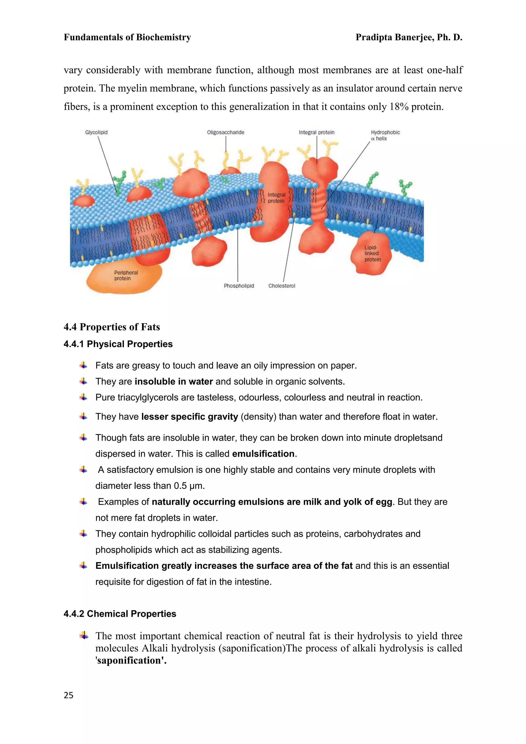 Fundamentals of Biochemistry Pradipta Banerjee, Ph. D.
25
vary considerably with membrane function, although most membranes are at least one-half
protein. The myelin membrane, which functions passively as an insulator around certain nerve
fibers, is a prominent exception to this generalization in that it contains only 18% protein.
4.4 Properties of Fats
4.4.1 Physical Properties
Fats are greasy to touch and leave an oily impression on paper.
They are insoluble in water and soluble in organic solvents.
Pure triacylglycerols are tasteless, odourless, colourless and neutral in reaction.
They have lesser specific gravity (density) than water and therefore float in water.
Though fats are insoluble in water, they can be broken down into minute dropletsand
dispersed in water. This is called emulsification.
A satisfactory emulsion is one highly stable and contains very minute droplets with
diameter less than 0.5 µm.
Examples of naturally occurring emulsions are milk and yolk of egg. But they are
not mere fat droplets in water.
They contain hydrophilic colloidal particles such as proteins, carbohydrates and
phospholipids which act as stabilizing agents.
Emulsification greatly increases the surface area of the fat and this is an essential
requisite for digestion of fat in the intestine.
4.4.2 Chemical Properties
The most important chemical reaction of neutral fat is their hydrolysis to yield three
molecules Alkali hydrolysis (saponification)The process of alkali hydrolysis is called
'saponification'.
 