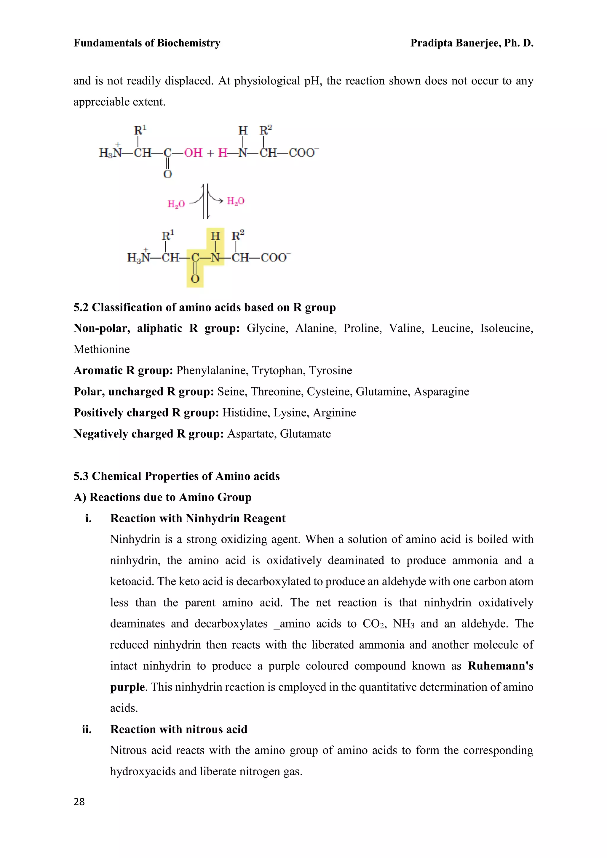 Fundamentals of Biochemistry Pradipta Banerjee, Ph. D.
28
and is not readily displaced. At physiological pH, the reaction shown does not occur to any
appreciable extent.
5.2 Classification of amino acids based on R group
Non-polar, aliphatic R group: Glycine, Alanine, Proline, Valine, Leucine, Isoleucine,
Methionine
Aromatic R group: Phenylalanine, Trytophan, Tyrosine
Polar, uncharged R group: Seine, Threonine, Cysteine, Glutamine, Asparagine
Positively charged R group: Histidine, Lysine, Arginine
Negatively charged R group: Aspartate, Glutamate
5.3 Chemical Properties of Amino acids
A) Reactions due to Amino Group
i. Reaction with Ninhydrin Reagent
Ninhydrin is a strong oxidizing agent. When a solution of amino acid is boiled with
ninhydrin, the amino acid is oxidatively deaminated to produce ammonia and a
ketoacid. The keto acid is decarboxylated to produce an aldehyde with one carbon atom
less than the parent amino acid. The net reaction is that ninhydrin oxidatively
deaminates and decarboxylates _amino acids to CO2, NH3 and an aldehyde. The
reduced ninhydrin then reacts with the liberated ammonia and another molecule of
intact ninhydrin to produce a purple coloured compound known as Ruhemann's
purple. This ninhydrin reaction is employed in the quantitative determination of amino
acids.
ii. Reaction with nitrous acid
Nitrous acid reacts with the amino group of amino acids to form the corresponding
hydroxyacids and liberate nitrogen gas.
 