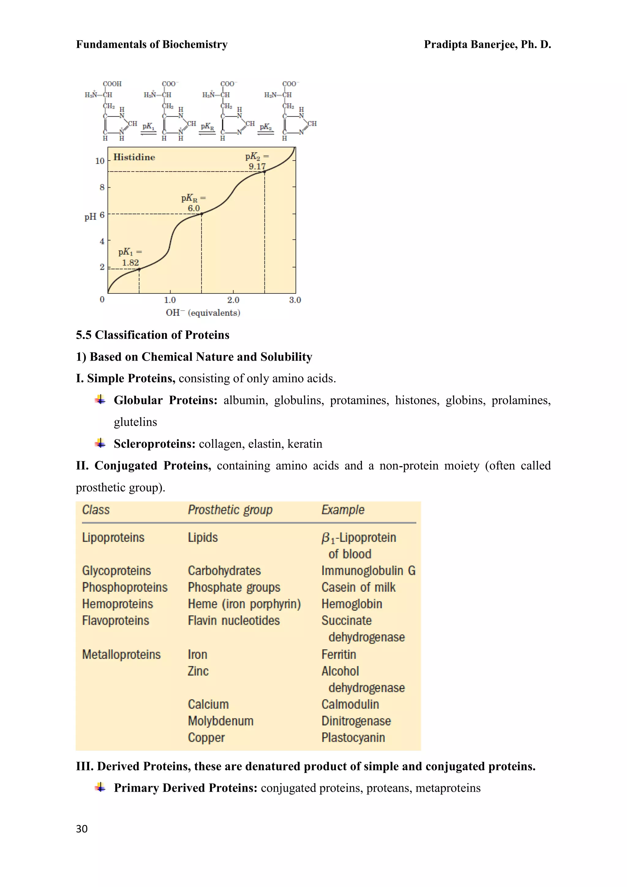 Fundamentals of Biochemistry Pradipta Banerjee, Ph. D.
30
5.5 Classification of Proteins
1) Based on Chemical Nature and Solubility
I. Simple Proteins, consisting of only amino acids.
Globular Proteins: albumin, globulins, protamines, histones, globins, prolamines,
glutelins
Scleroproteins: collagen, elastin, keratin
II. Conjugated Proteins, containing amino acids and a non-protein moiety (often called
prosthetic group).
III. Derived Proteins, these are denatured product of simple and conjugated proteins.
Primary Derived Proteins: conjugated proteins, proteans, metaproteins
 