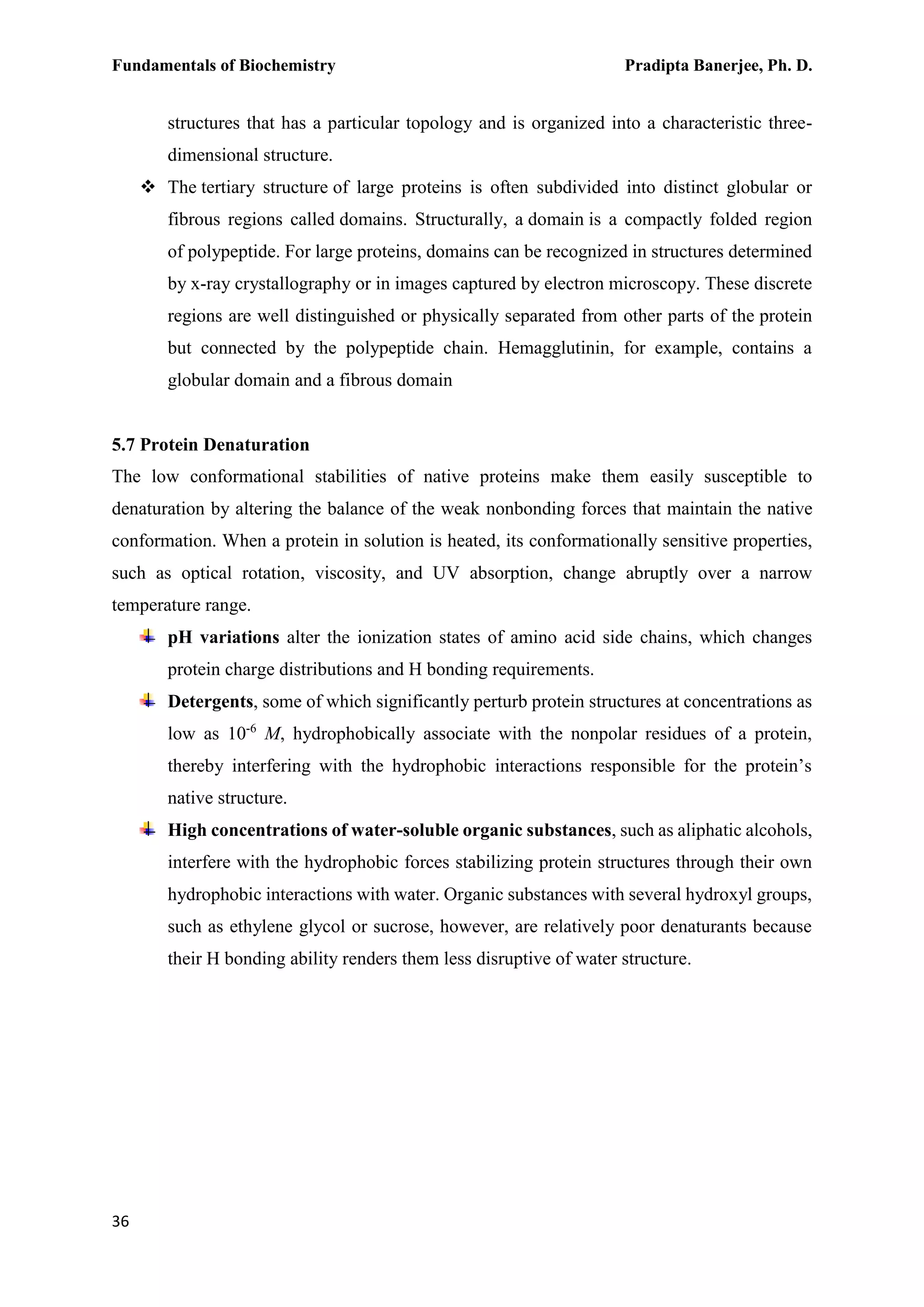 Fundamentals of Biochemistry Pradipta Banerjee, Ph. D.
36
structures that has a particular topology and is organized into a characteristic three-
dimensional structure.
 The tertiary structure of large proteins is often subdivided into distinct globular or
fibrous regions called domains. Structurally, a domain is a compactly folded region
of polypeptide. For large proteins, domains can be recognized in structures determined
by x-ray crystallography or in images captured by electron microscopy. These discrete
regions are well distinguished or physically separated from other parts of the protein
but connected by the polypeptide chain. Hemagglutinin, for example, contains a
globular domain and a fibrous domain
5.7 Protein Denaturation
The low conformational stabilities of native proteins make them easily susceptible to
denaturation by altering the balance of the weak nonbonding forces that maintain the native
conformation. When a protein in solution is heated, its conformationally sensitive properties,
such as optical rotation, viscosity, and UV absorption, change abruptly over a narrow
temperature range.
pH variations alter the ionization states of amino acid side chains, which changes
protein charge distributions and H bonding requirements.
Detergents, some of which significantly perturb protein structures at concentrations as
low as 10-6
M, hydrophobically associate with the nonpolar residues of a protein,
thereby interfering with the hydrophobic interactions responsible for the protein’s
native structure.
High concentrations of water-soluble organic substances, such as aliphatic alcohols,
interfere with the hydrophobic forces stabilizing protein structures through their own
hydrophobic interactions with water. Organic substances with several hydroxyl groups,
such as ethylene glycol or sucrose, however, are relatively poor denaturants because
their H bonding ability renders them less disruptive of water structure.
 