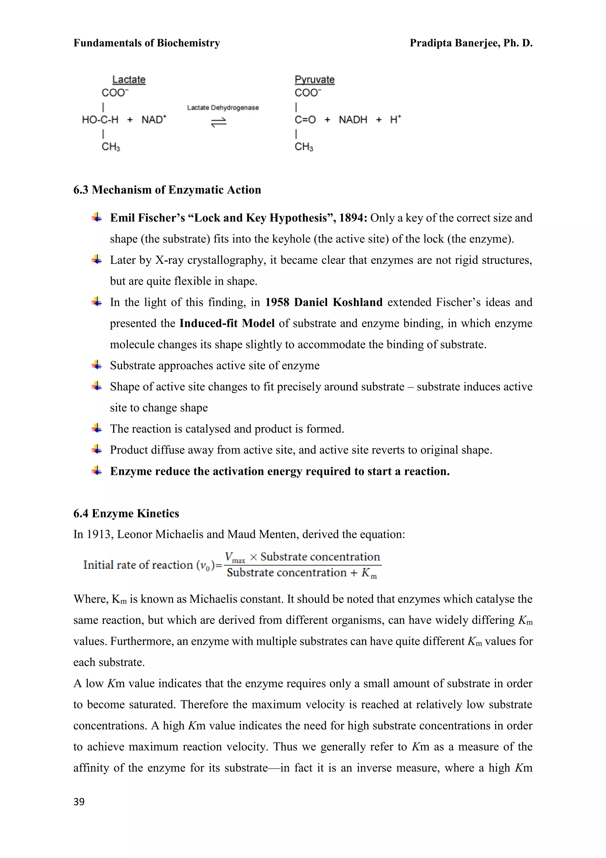 Fundamentals of Biochemistry Pradipta Banerjee, Ph. D.
39
6.3 Mechanism of Enzymatic Action
Emil Fischer’s “Lock and Key Hypothesis”, 1894: Only a key of the correct size and
shape (the substrate) fits into the keyhole (the active site) of the lock (the enzyme).
Later by X-ray crystallography, it became clear that enzymes are not rigid structures,
but are quite flexible in shape.
In the light of this finding, in 1958 Daniel Koshland extended Fischer’s ideas and
presented the Induced-fit Model of substrate and enzyme binding, in which enzyme
molecule changes its shape slightly to accommodate the binding of substrate.
Substrate approaches active site of enzyme
Shape of active site changes to fit precisely around substrate – substrate induces active
site to change shape
The reaction is catalysed and product is formed.
Product diffuse away from active site, and active site reverts to original shape.
Enzyme reduce the activation energy required to start a reaction.
6.4 Enzyme Kinetics
In 1913, Leonor Michaelis and Maud Menten, derived the equation:
Where, Km is known as Michaelis constant. It should be noted that enzymes which catalyse the
same reaction, but which are derived from different organisms, can have widely differing Km
values. Furthermore, an enzyme with multiple substrates can have quite different Km values for
each substrate.
A low Km value indicates that the enzyme requires only a small amount of substrate in order
to become saturated. Therefore the maximum velocity is reached at relatively low substrate
concentrations. A high Km value indicates the need for high substrate concentrations in order
to achieve maximum reaction velocity. Thus we generally refer to Km as a measure of the
affinity of the enzyme for its substrate—in fact it is an inverse measure, where a high Km
 